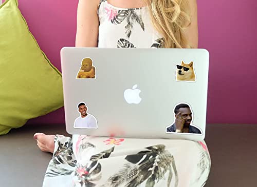 (122 Pcs) Funny Meme Vinyl Stickers Pack, Vine Stickers for Laptop, iPhone, Water Bottles, Computer, and Hydro Flask, DIY ...