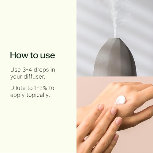 Plant Therapy Organic Orange Clove Essential Oil Blend for Diffuser 10 mL (1/3 oz) Naturally Energizing, Naturally Freshen...