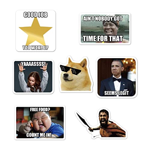 (122 Pcs) Funny Meme Vinyl Stickers Pack, Vine Stickers for Laptop, iPhone, Water Bottles, Computer, and Hydro Flask, DIY ...
