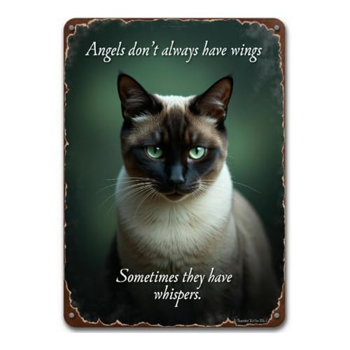 TZTTZT Diamond Art Kits for Adults - Cat Green Eyes Inspirational Poster Diamond Painting Kits for Adults Beginner, 12x16 ...