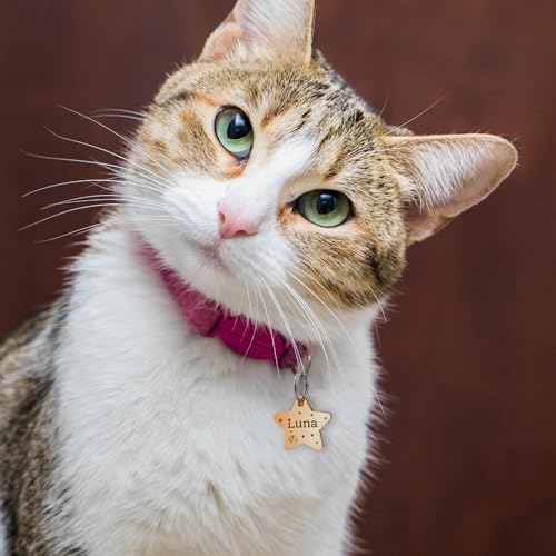 Anavia Small Size Dog Cat ID Tags, Small/XS Personalized Color Plated Stainless Steel Puppy Kitten Name Tags, Customized E...