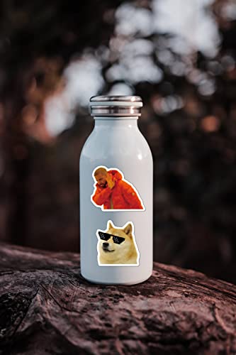 (122 Pcs) Funny Meme Vinyl Stickers Pack, Vine Stickers for Laptop, iPhone, Water Bottles, Computer, and Hydro Flask, DIY ...