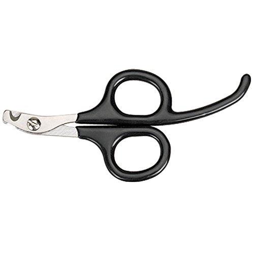 Master Grooming Tools Pet Nail Scissors with Finger Rests—Stainless Steel Scissors for Trimming Nails on Cats and Birds - ...