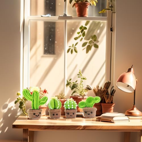 Weronique 4 Style Cactus Crochet Kit for Beginner, DIY Crochet Knitting Material Kit for Thanksgiving and Christmas Gift, ...