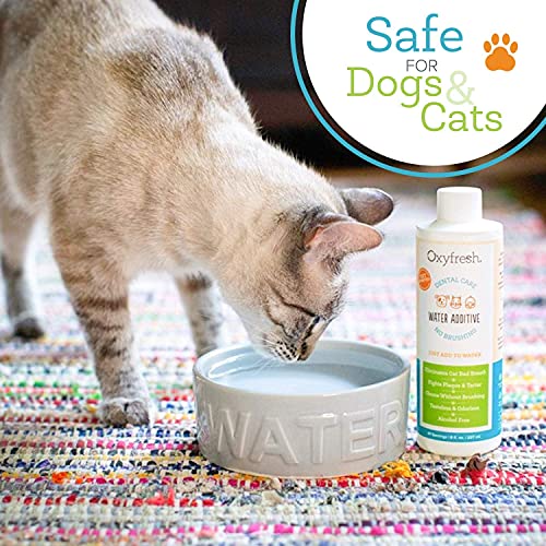 Oxyfresh Premium Pet Dental Care Solution Pet Water Additive: Best Way to Eliminate Bad Dog Breath and Cat Bad Breath - Fi...