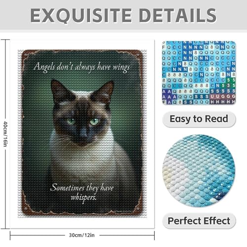 TZTTZT Diamond Art Kits for Adults - Cat Green Eyes Inspirational Poster Diamond Painting Kits for Adults Beginner, 12x16 ...