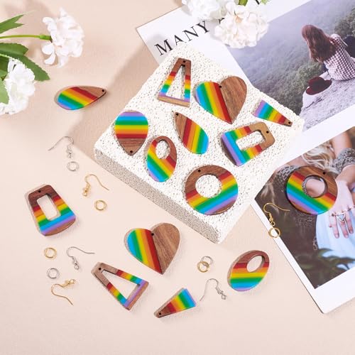 Cheriswelry 8 Pairs Walnut Wood Earring Kit Rainbow Earring Pendants Wooden Resin Charms Hang Ornament Earring Hooks Jump ...