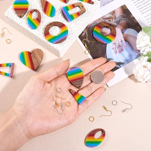 Cheriswelry 8 Pairs Walnut Wood Earring Kit Rainbow Earring Pendants Wooden Resin Charms Hang Ornament Earring Hooks Jump ...