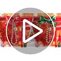 UPINS 500Pcs Resin Christmas Stripe Beads, Xmas Holiday Party Decoration Necklace Bracelets Earrings DIY Ornament Kit