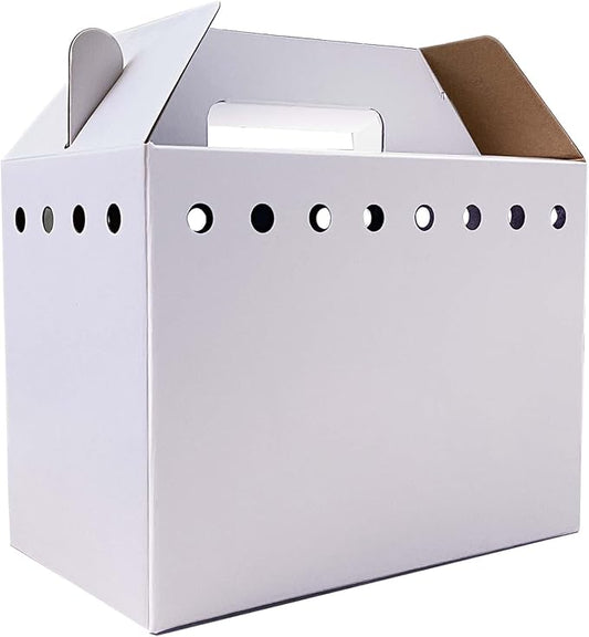 Cardboard Pet Carriers for Small Animals, Hamsters, Gerbils, Birds, Reptiles, Not for Cats or Dogs, Disposable Cardboard P...
