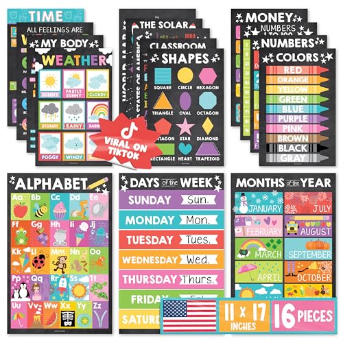 Hadley Designs 16 Educational Posters for Classroom Decor - Chalkboard Educational Posters for Toddlers 1-3, Toddler Learn...