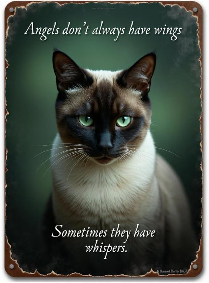 TZTTZT Diamond Art Kits for Adults - Cat Green Eyes Inspirational Poster Diamond Painting Kits for Adults Beginner, 12x16 ...