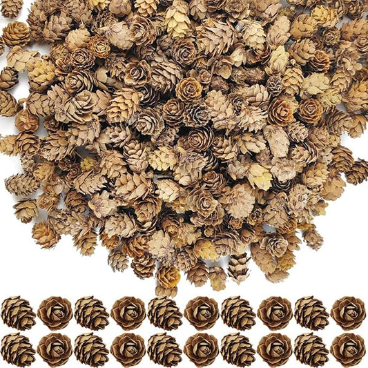 TIHOOD 160PCS 1.18"-1.97" Christmas Natural Mini Pine Cones-Thanksgiving Pine Cones Ornaments for DIY Crafts, Home Decorat...