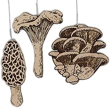 Mushroom Christmas Ornament Pack | Morel, Oyster, and Chanterelle Mushrooms Set of 3 Wood Handmade Holiday Decorations