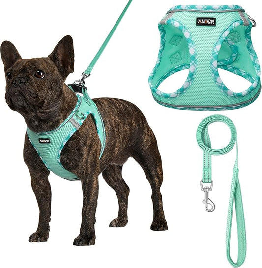 AMTOR Small Dog Harness with Leash Set, No Escape Easy Walk Puppy Harnesses for Training Walking, Step-in Reflective Soft ...