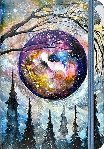 PETER PAUPER PRESS Mystic Moon Journal (Diary, Notebook)